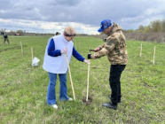 В Борисовском округе стартовала акция «Сад памяти»: высадили первые 300 деревьев