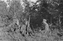 Солдаты немецкой 167-й пехотной дивизии чистят оружие на опушке леса на территории нынешней Белгородской области, 1943 год. Источник: http://waralbum.ru.
