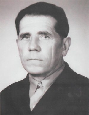 Никитин  Владимир  Алексеевич